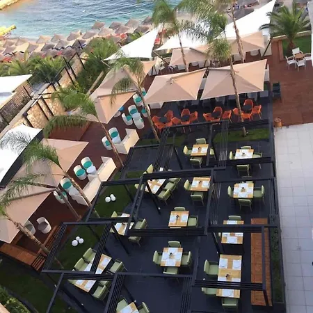 Andon Lapa & 4*